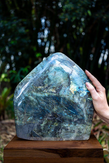 Large Freeform Labradorite
